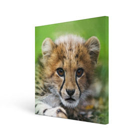 Холст квадратный с принтом Котёнок гепарда в Санкт-Петербурге, 100% ПВХ |  | гепард | дикая кошка | котёнок | кошка | лев | природа | тигр | хищник | ягуар