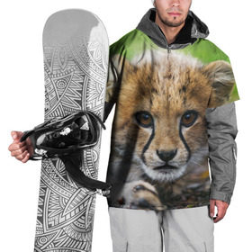 Накидка на куртку 3D с принтом Котёнок гепарда в Санкт-Петербурге, 100% полиэстер |  | гепард | дикая кошка | котёнок | кошка | лев | природа | тигр | хищник | ягуар