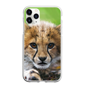 Чехол для iPhone 11 Pro матовый с принтом Котёнок гепарда в Санкт-Петербурге, Силикон |  | гепард | дикая кошка | котёнок | кошка | лев | природа | тигр | хищник | ягуар
