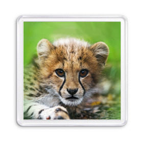 Магнит 55*55 с принтом Котёнок гепарда в Санкт-Петербурге, Пластик | Размер: 65*65 мм; Размер печати: 55*55 мм | гепард | дикая кошка | котёнок | кошка | лев | природа | тигр | хищник | ягуар