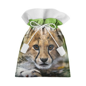 Подарочный 3D мешок с принтом Котёнок гепарда в Санкт-Петербурге, 100% полиэстер | Размер: 29*39 см | гепард | дикая кошка | котёнок | кошка | лев | природа | тигр | хищник | ягуар