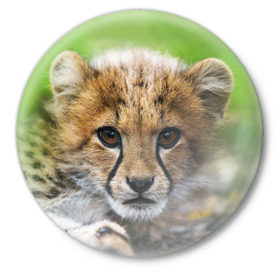Значок с принтом Котёнок гепарда в Санкт-Петербурге,  металл | круглая форма, металлическая застежка в виде булавки | гепард | дикая кошка | котёнок | кошка | лев | природа | тигр | хищник | ягуар