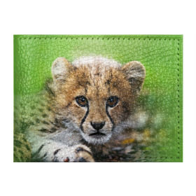 Обложка для студенческого билета с принтом Котёнок гепарда в Санкт-Петербурге, натуральная кожа | Размер: 11*8 см; Печать на всей внешней стороне | гепард | дикая кошка | котёнок | кошка | лев | природа | тигр | хищник | ягуар