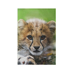 Обложка для паспорта матовая кожа с принтом Котёнок гепарда в Санкт-Петербурге, натуральная матовая кожа | размер 19,3 х 13,7 см; прозрачные пластиковые крепления | Тематика изображения на принте: гепард | дикая кошка | котёнок | кошка | лев | природа | тигр | хищник | ягуар
