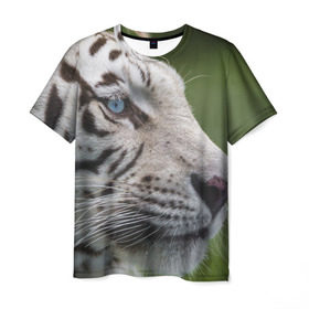 Мужская футболка 3D с принтом Белый тигр в Санкт-Петербурге, 100% полиэфир | прямой крой, круглый вырез горловины, длина до линии бедер | абессинкая | домашние | животные | кот | котенок | кошка | порода | сиамская | тигр | хищник