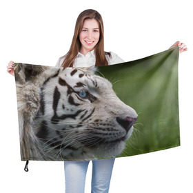 Флаг 3D с принтом Белый тигр в Санкт-Петербурге, 100% полиэстер | плотность ткани — 95 г/м2, размер — 67 х 109 см. Принт наносится с одной стороны | абессинкая | домашние | животные | кот | котенок | кошка | порода | сиамская | тигр | хищник