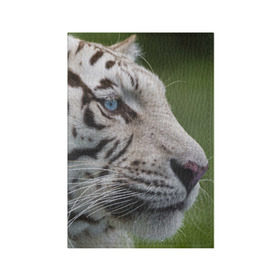 Обложка для паспорта матовая кожа с принтом Белый тигр в Санкт-Петербурге, натуральная матовая кожа | размер 19,3 х 13,7 см; прозрачные пластиковые крепления | абессинкая | домашние | животные | кот | котенок | кошка | порода | сиамская | тигр | хищник