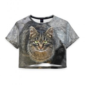 Женская футболка 3D укороченная с принтом Серый котик в Санкт-Петербурге, 100% полиэстер | круглая горловина, длина футболки до линии талии, рукава с отворотами | 