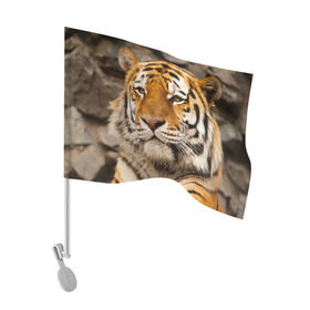 Флаг для автомобиля с принтом Тигр в Санкт-Петербурге, 100% полиэстер | Размер: 30*21 см | амурский | животные | киса | кот | котенок | кошка | пума | рысь | серый | тигр | хищник