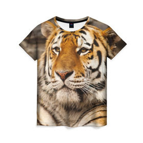 Женская футболка 3D с принтом Тигр в Санкт-Петербурге, 100% полиэфир ( синтетическое хлопкоподобное полотно) | прямой крой, круглый вырез горловины, длина до линии бедер | амурский | животные | киса | кот | котенок | кошка | пума | рысь | серый | тигр | хищник