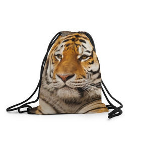 Рюкзак-мешок 3D с принтом Тигр в Санкт-Петербурге, 100% полиэстер | плотность ткани — 200 г/м2, размер — 35 х 45 см; лямки — толстые шнурки, застежка на шнуровке, без карманов и подкладки | амурский | животные | киса | кот | котенок | кошка | пума | рысь | серый | тигр | хищник
