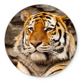 Коврик круглый с принтом Тигр в Санкт-Петербурге, резина и полиэстер | круглая форма, изображение наносится на всю лицевую часть | Тематика изображения на принте: амурский | животные | киса | кот | котенок | кошка | пума | рысь | серый | тигр | хищник