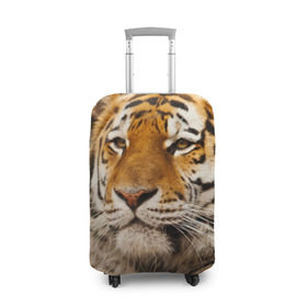 Чехол для чемодана 3D с принтом Тигр в Санкт-Петербурге, 86% полиэфир, 14% спандекс | двустороннее нанесение принта, прорези для ручек и колес | амурский | животные | киса | кот | котенок | кошка | пума | рысь | серый | тигр | хищник