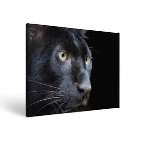 Холст прямоугольный с принтом Черная пантера в Санкт-Петербурге, 100% ПВХ |  | Тематика изображения на принте: животные | кис | киска | кот | котенок | котик | кошечка | кошка | пантера | рысь | тигр | хищник