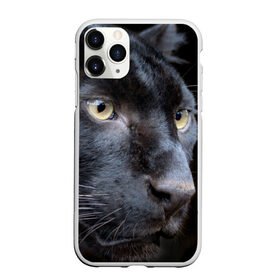 Чехол для iPhone 11 Pro матовый с принтом Черная пантера в Санкт-Петербурге, Силикон |  | животные | кис | киска | кот | котенок | котик | кошечка | кошка | пантера | рысь | тигр | хищник