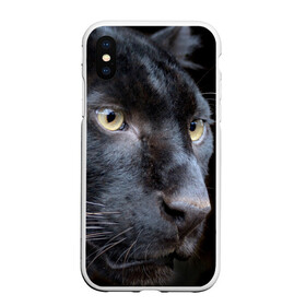 Чехол для iPhone XS Max матовый с принтом Черная пантера в Санкт-Петербурге, Силикон | Область печати: задняя сторона чехла, без боковых панелей | животные | кис | киска | кот | котенок | котик | кошечка | кошка | пантера | рысь | тигр | хищник