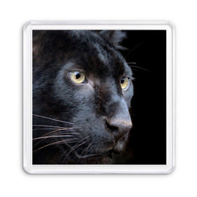 Магнит 55*55 с принтом Черная пантера в Санкт-Петербурге, Пластик | Размер: 65*65 мм; Размер печати: 55*55 мм | Тематика изображения на принте: животные | кис | киска | кот | котенок | котик | кошечка | кошка | пантера | рысь | тигр | хищник