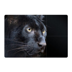 Магнитный плакат 3Х2 с принтом Черная пантера в Санкт-Петербурге, Полимерный материал с магнитным слоем | 6 деталей размером 9*9 см | животные | кис | киска | кот | котенок | котик | кошечка | кошка | пантера | рысь | тигр | хищник