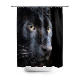 Штора 3D для ванной с принтом Черная пантера в Санкт-Петербурге, 100% полиэстер | плотность материала — 100 г/м2. Стандартный размер — 146 см х 180 см. По верхнему краю — пластиковые люверсы для креплений. В комплекте 10 пластиковых колец | животные | кис | киска | кот | котенок | котик | кошечка | кошка | пантера | рысь | тигр | хищник