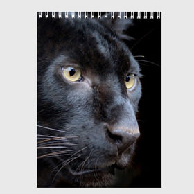 Скетчбук с принтом Черная пантера в Санкт-Петербурге, 100% бумага
 | 48 листов, плотность листов — 100 г/м2, плотность картонной обложки — 250 г/м2. Листы скреплены сверху удобной пружинной спиралью | животные | кис | киска | кот | котенок | котик | кошечка | кошка | пантера | рысь | тигр | хищник