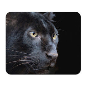 Коврик прямоугольный с принтом Черная пантера в Санкт-Петербурге, натуральный каучук | размер 230 х 185 мм; запечатка лицевой стороны | животные | кис | киска | кот | котенок | котик | кошечка | кошка | пантера | рысь | тигр | хищник