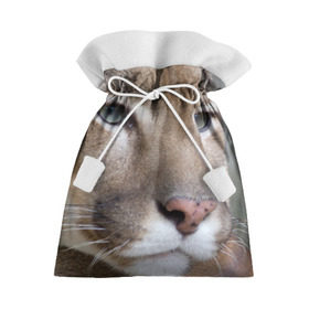 Подарочный 3D мешок с принтом Пума в Санкт-Петербурге, 100% полиэстер | Размер: 29*39 см | Тематика изображения на принте: животные | кис | киска | кот | котенок | котик | кошечка | кошка | львиц | пантера | пума | рысь | хищник
