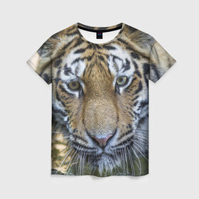 Женская футболка 3D с принтом Тигр в Санкт-Петербурге, 100% полиэфир ( синтетическое хлопкоподобное полотно) | прямой крой, круглый вырез горловины, длина до линии бедер | животные | кошка | лев | тигр | тигренок | тигрица | хищник