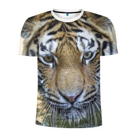 Мужская футболка 3D спортивная с принтом Тигр в Санкт-Петербурге, 100% полиэстер с улучшенными характеристиками | приталенный силуэт, круглая горловина, широкие плечи, сужается к линии бедра | животные | кошка | лев | тигр | тигренок | тигрица | хищник