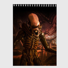 Скетчбук с принтом Alien в Санкт-Петербурге, 100% бумага
 | 48 листов, плотность листов — 100 г/м2, плотность картонной обложки — 250 г/м2. Листы скреплены сверху удобной пружинной спиралью | alien | блокбастер. монстр | боевик | кино | кинофильм | скелет | чужой