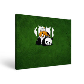 Холст прямоугольный с принтом Милая панда в Санкт-Петербурге, 100% ПВХ |  | большая | джунгли | енот | зайка | милая | панда | пушистая
