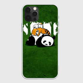 Чехол для iPhone 12 Pro Max с принтом Милая панда в Санкт-Петербурге, Силикон |  | большая | джунгли | енот | зайка | милая | панда | пушистая