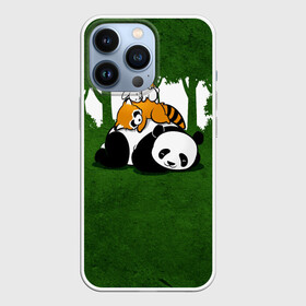 Чехол для iPhone 13 Pro с принтом Милая панда в Санкт-Петербурге,  |  | большая | джунгли | енот | зайка | милая | панда | пушистая