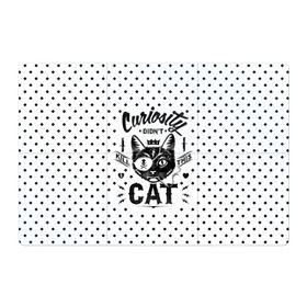 Магнитный плакат 3Х2 с принтом Curiosity Cat в Санкт-Петербурге, Полимерный материал с магнитным слоем | 6 деталей размером 9*9 см | animal | beast | cat | feline | gangsta | kill | king | kitty | meow | nature | гангстер | животное | зверь | король | кот | котенок | котик | кошка | мяу | природа