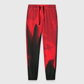 Мужские брюки 3D с принтом красное и черное в Санкт-Петербурге, 100% полиэстер | манжеты по низу, эластичный пояс регулируется шнурком, по бокам два кармана без застежек, внутренняя часть кармана из мелкой сетки | красный | черный