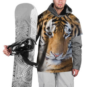Накидка на куртку 3D с принтом Тигр в Санкт-Петербурге, 100% полиэстер |  | амурский | животные | киса | кот | котенок | кошка | пума | рысь | серый | тигр | хищник