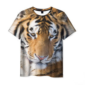 Мужская футболка 3D с принтом Тигр в Санкт-Петербурге, 100% полиэфир | прямой крой, круглый вырез горловины, длина до линии бедер | амурский | животные | киса | кот | котенок | кошка | пума | рысь | серый | тигр | хищник