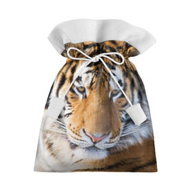 Подарочный 3D мешок с принтом Тигр в Санкт-Петербурге, 100% полиэстер | Размер: 29*39 см | амурский | животные | киса | кот | котенок | кошка | пума | рысь | серый | тигр | хищник