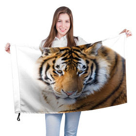 Флаг 3D с принтом Тигр в Санкт-Петербурге, 100% полиэстер | плотность ткани — 95 г/м2, размер — 67 х 109 см. Принт наносится с одной стороны | амурский | животные | киса | кот | котенок | кошка | пума | рысь | серый | тигр | хищник
