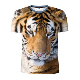 Мужская футболка 3D спортивная с принтом Тигр в Санкт-Петербурге, 100% полиэстер с улучшенными характеристиками | приталенный силуэт, круглая горловина, широкие плечи, сужается к линии бедра | Тематика изображения на принте: амурский | животные | киса | кот | котенок | кошка | пума | рысь | серый | тигр | хищник