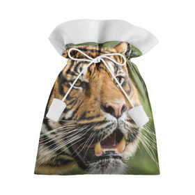 Подарочный 3D мешок с принтом Тигр в Санкт-Петербурге, 100% полиэстер | Размер: 29*39 см | 