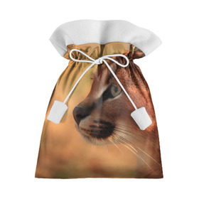Подарочный 3D мешок с принтом Рысь в Санкт-Петербурге, 100% полиэстер | Размер: 29*39 см | амурский | животные | киса | кот | котенок | кошка | пума | рысь | серый | тигр | хищник