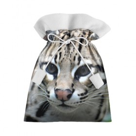 Подарочный 3D мешок с принтом Дикая кошка в Санкт-Петербурге, 100% полиэстер | Размер: 29*39 см | амурский | животные | киса | кот | котенок | кошка | лев | львица | пума | рысь | серый | тигр | хищник
