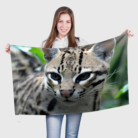 Флаг 3D с принтом Дикая кошка в Санкт-Петербурге, 100% полиэстер | плотность ткани — 95 г/м2, размер — 67 х 109 см. Принт наносится с одной стороны | амурский | животные | киса | кот | котенок | кошка | лев | львица | пума | рысь | серый | тигр | хищник