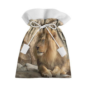 Подарочный 3D мешок с принтом Лев в Санкт-Петербурге, 100% полиэстер | Размер: 29*39 см | амурский | животные | киса | кот | котенок | кошка | лев | львица | пума | рысь | серый | тигр | хищник