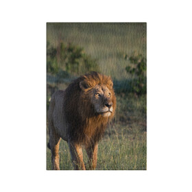 Обложка для паспорта матовая кожа с принтом Лев в Санкт-Петербурге, натуральная матовая кожа | размер 19,3 х 13,7 см; прозрачные пластиковые крепления | амурский | животные | киса | кот | котенок | кошка | лев | львица | пума | рысь | серый | тигр | хищник