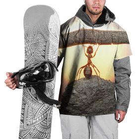 Накидка на куртку 3D с принтом Муравей в Санкт-Петербурге, 100% полиэстер |  | ветка | жук | закат | камень | муравей | насекомые | природа