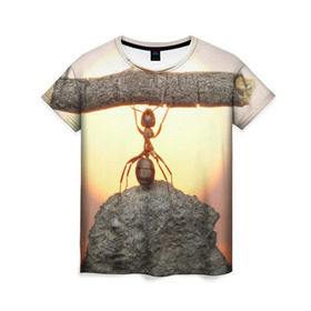 Женская футболка 3D с принтом Муравей в Санкт-Петербурге, 100% полиэфир ( синтетическое хлопкоподобное полотно) | прямой крой, круглый вырез горловины, длина до линии бедер | ветка | жук | закат | камень | муравей | насекомые | природа