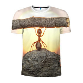 Мужская футболка 3D спортивная с принтом Муравей в Санкт-Петербурге, 100% полиэстер с улучшенными характеристиками | приталенный силуэт, круглая горловина, широкие плечи, сужается к линии бедра | ветка | жук | закат | камень | муравей | насекомые | природа