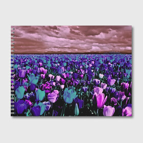 Альбом для рисования с принтом Поле тюльпанов в Санкт-Петербурге, 100% бумага
 | матовая бумага, плотность 200 мг. | flower | весна | поле | полевой цветок | природа | цветочки | цветы