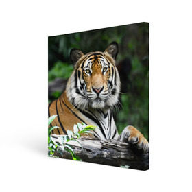 Холст квадратный с принтом Тигр в джунглях в Санкт-Петербурге, 100% ПВХ |  | Тематика изображения на принте: амурский | животные | зверь | киса | кот | котенок | кошка | тигр | хищник